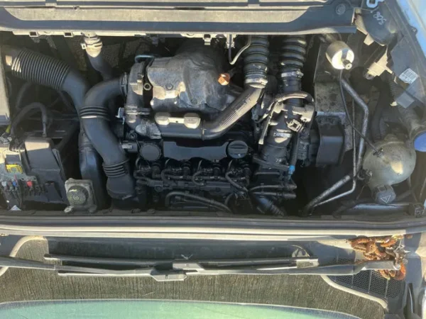 PEUGEOT 308 Féline 2010