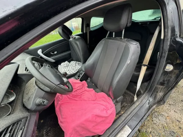 RENAULT MEGANE III COUPE Bose Euro 5 2012