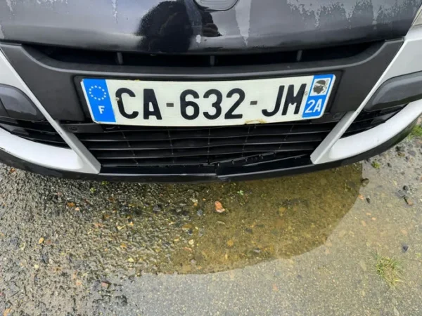 RENAULT MEGANE III COUPE Bose Euro 5 2012