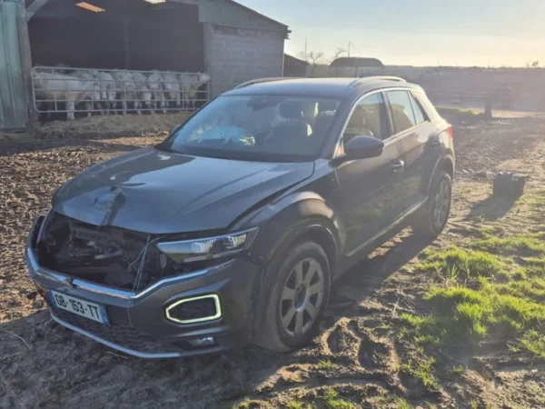 VOLKSWAGEN T-ROC Carat 2018