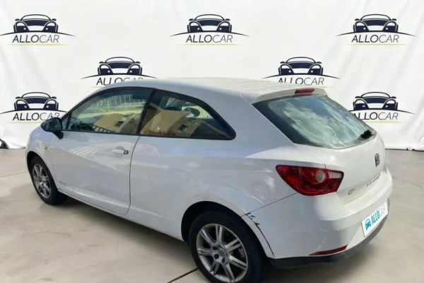 SEAT IBIZA Style COPA 2012