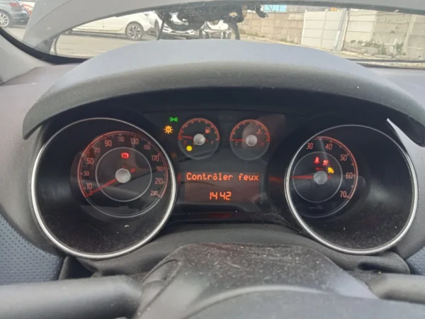 FIAT PUNTO EVO Team 2010