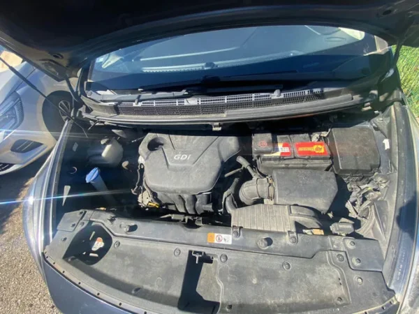 KIA CARENS Active 2014