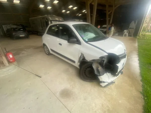 RENAULT TWINGO III Intens 2019