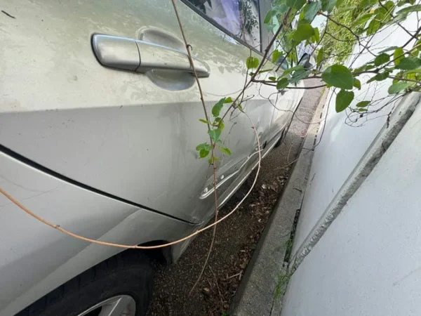 PEUGEOT 308 Premium 2008