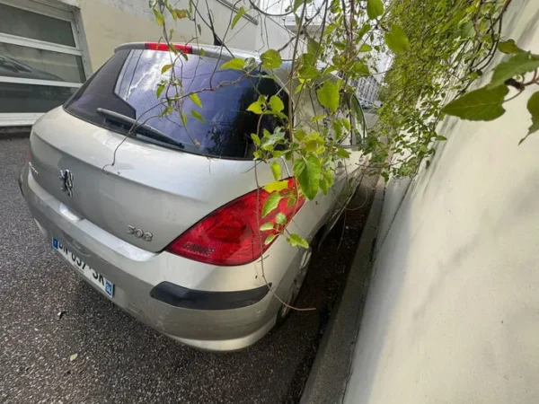 PEUGEOT 308 Premium 2008