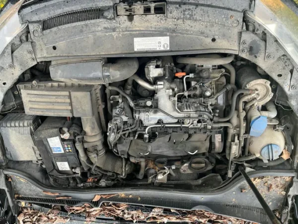 VOLKSWAGEN GOLF Confortline 2009