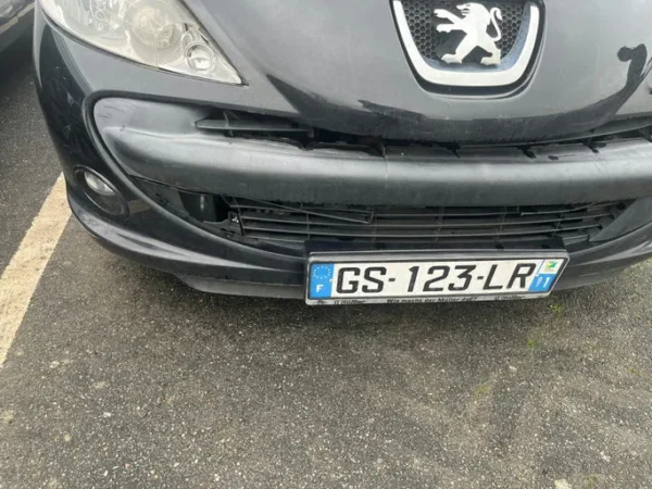 PEUGEOT 206+ Urban 2009
