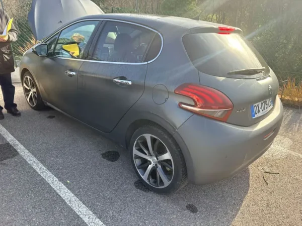 PEUGEOT 208 Féline 2015