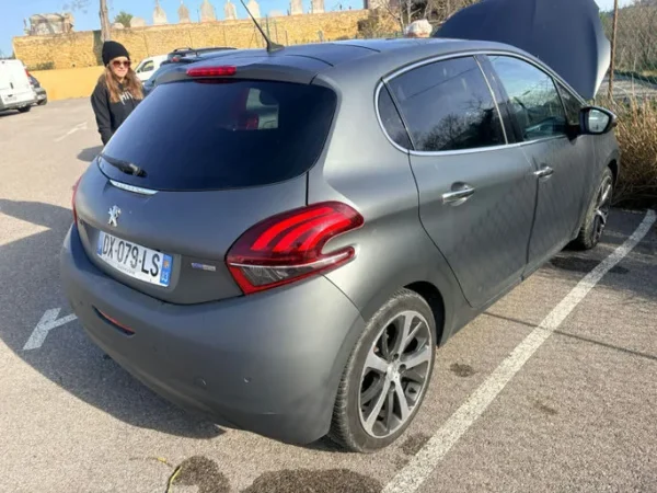 PEUGEOT 208 Féline 2015