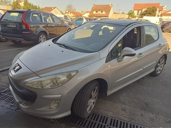 PEUGEOT 308 Féline 2007