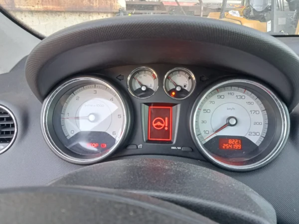 PEUGEOT 308 Féline 2007