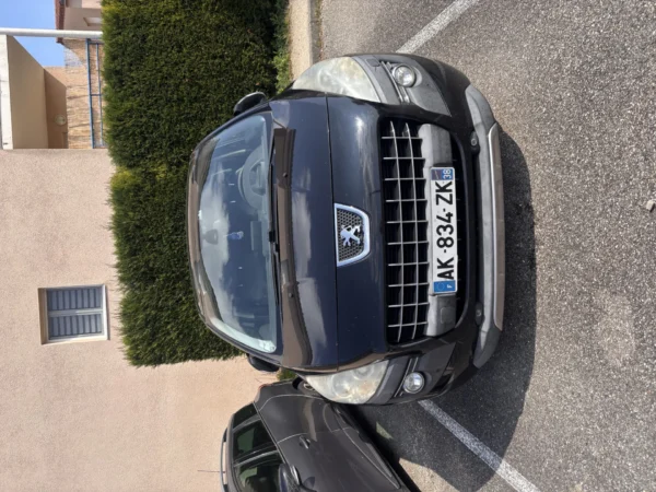 PEUGEOT 3008 Féline 2010