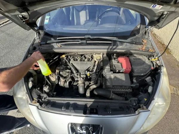 PEUGEOT 308 Féline 2009