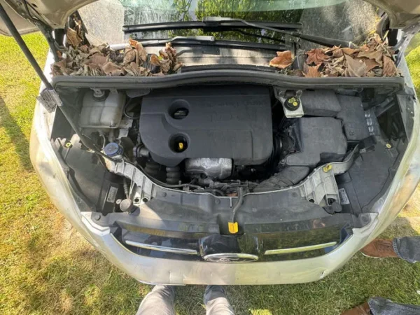 FORD C-MAX Business 2013