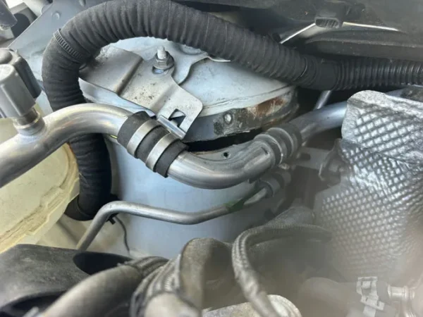 RENAULT CLIO V Business 2020