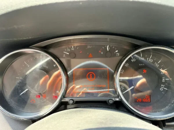 PEUGEOT 3008 Féline 2009