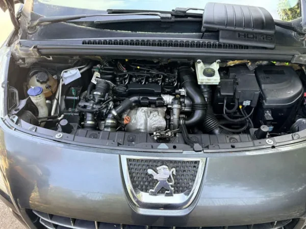 PEUGEOT 3008 Féline 2009