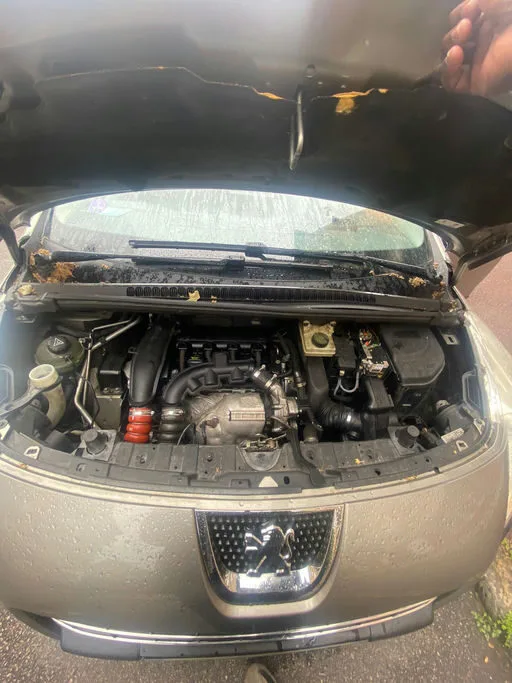 PEUGEOT 3008 Féline 2013 – Image 20