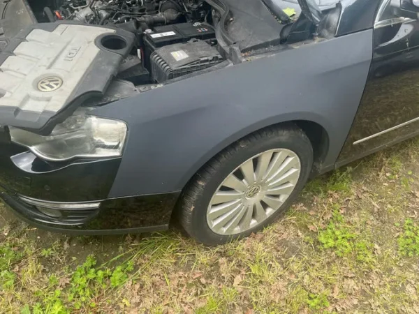 VOLKSWAGEN PASSAT SW Carat Edition Individual DSG 2009