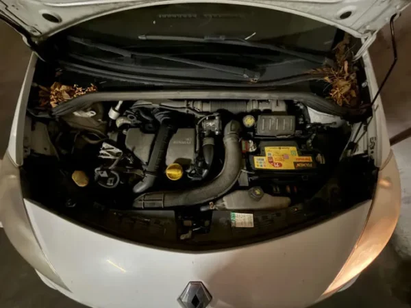 RENAULT CLIO III Alizé 2012