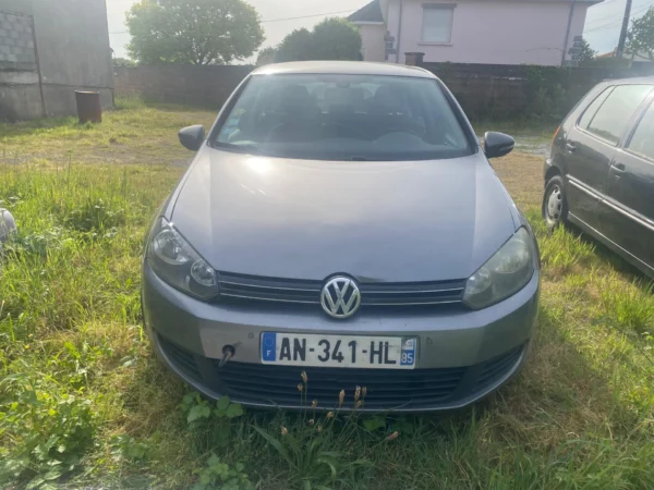 VOLKSWAGEN GOLF Carat 2010