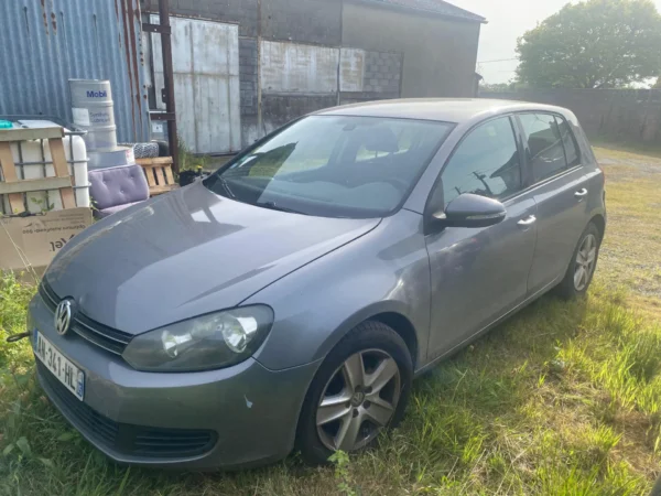 VOLKSWAGEN GOLF Carat 2010