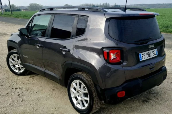 JEEP RENEGADE Limited 2019