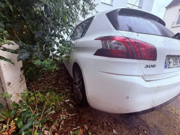 PEUGEOT 308 Féline 2014