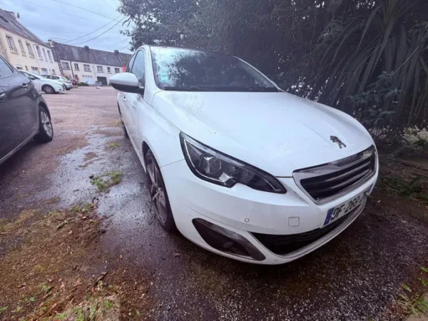 PEUGEOT 308 Féline 2014