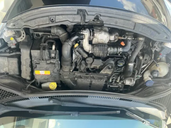 PEUGEOT 207 Série 64 2011
