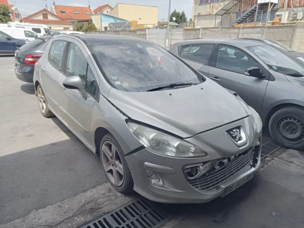 PEUGEOT 308 Féline 2008