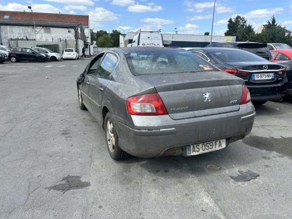 PEUGEOT 407 Premium Pack 2009