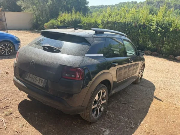 CITROEN C4 CACTUS Feel 2016