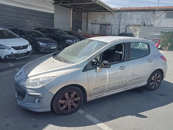 PEUGEOT 308 Féline 2008