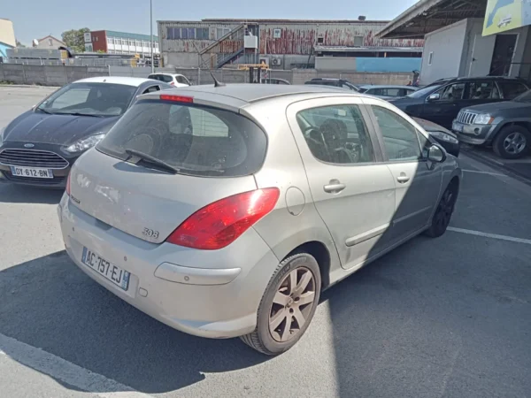 PEUGEOT 308 Féline 2008