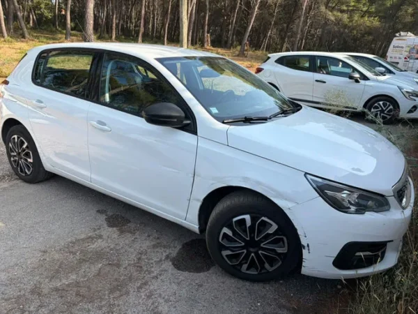 PEUGEOT 308 Active 2017