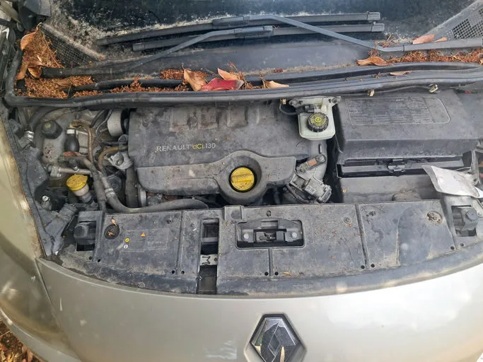 RENAULT GRAND SCENIC III Privilège 7 pl 2010 – Image 11