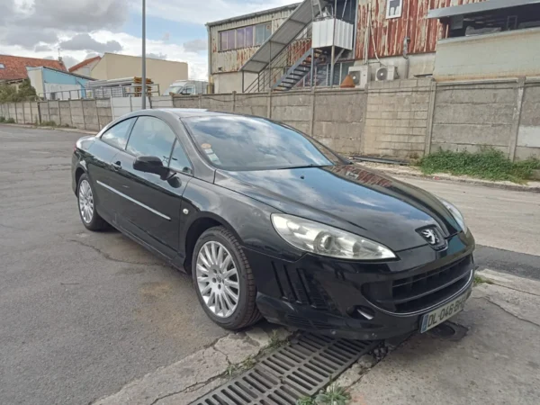PEUGEOT 407 COUPE Féline 2008
