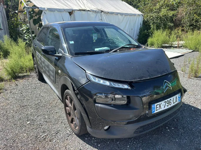 CITROEN C4 CACTUS Shine 2017 – Image 10