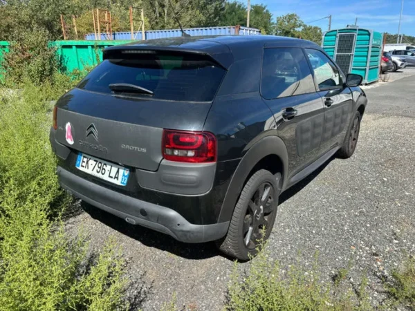 CITROEN C4 CACTUS Shine 2017