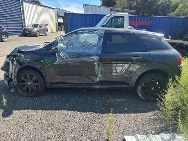 CITROEN C4 CACTUS Shine 2017