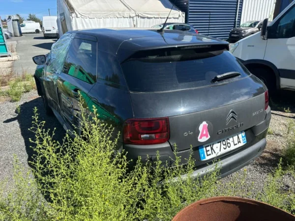 CITROEN C4 CACTUS Shine 2017