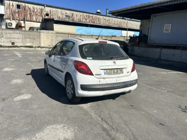 PEUGEOT 207 Trendy 2008