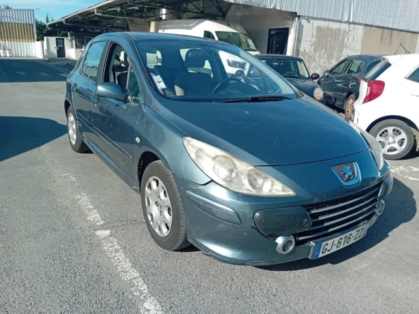 PEUGEOT 307 Oxygo A 2007